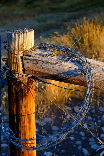 Spoel Van Opgerold Prikkeldraad Aan Hekpaal — Stockfoto