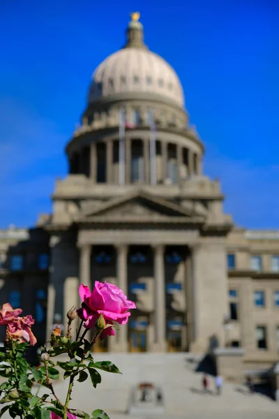 Правительство Капитолия Айдахо Голубым Небом Колоннами Архитектурные Розы Цветы — стоковое фото