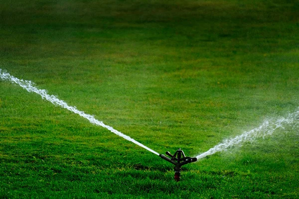 Spruzzatore Parco Che Spruzza Acqua Innaffiando Erba Verde Lussureggiante — Foto Stock