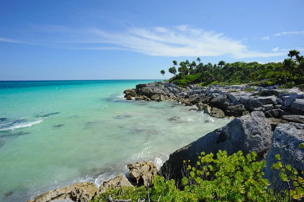 Tropical beach — Stock Photo, Image