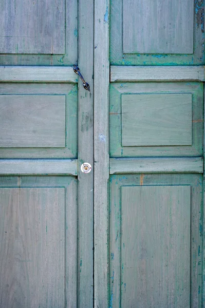 Green door — Stock Photo, Image