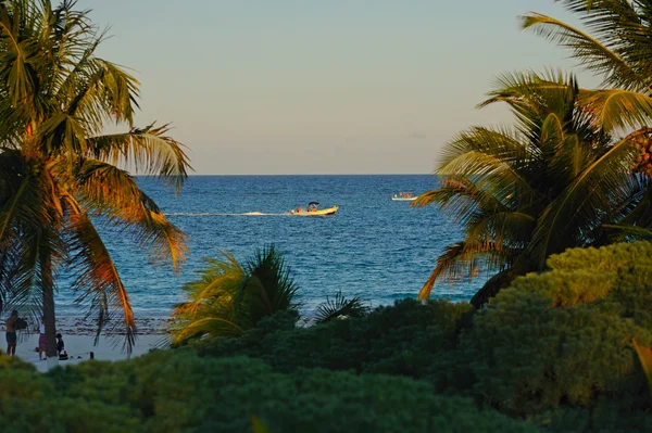 Sunset on caribbean beach — Stock Photo, Image