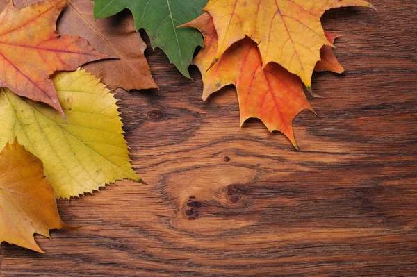 Leaves on the board — Stock Photo, Image