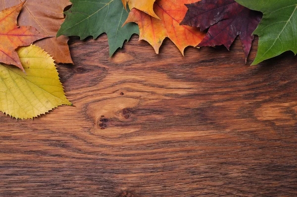 Leaves on the board — Stock Photo, Image