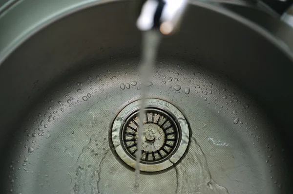 Grifo de plata — Foto de Stock