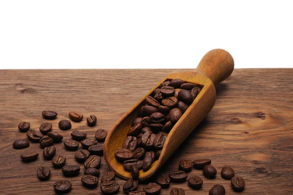 Coffee beans — Stock Photo, Image