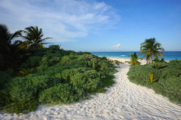 Tropical beach — Stock Photo, Image