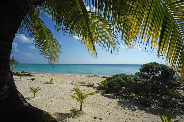 Caribbean sea — Stock Photo, Image