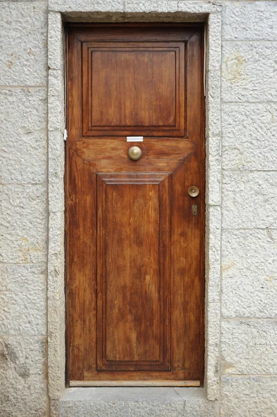 Old door — Stock Photo, Image