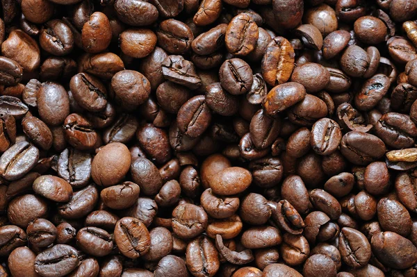 Coffee beans — Stock Photo, Image