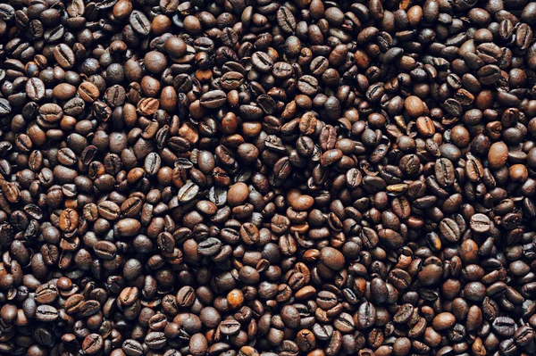 Coffee beans — Stock Photo, Image