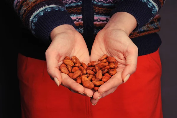 kakao çekirdekleri elinde