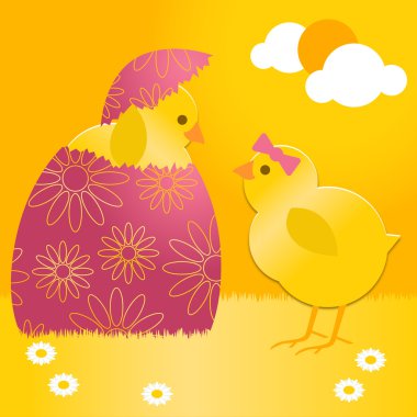 Paskalya yortusu yumurta Paskalya chick