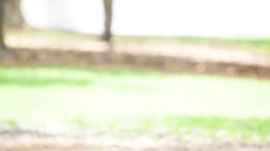 yakışıklı bir adam parkta