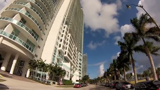 North Bayshore Drive Miami — Stock video