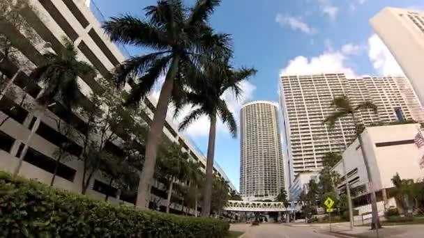 North Bayshore Drive Miami — Stockvideo