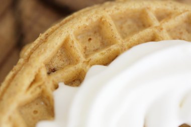 bir waffle stok görüntü