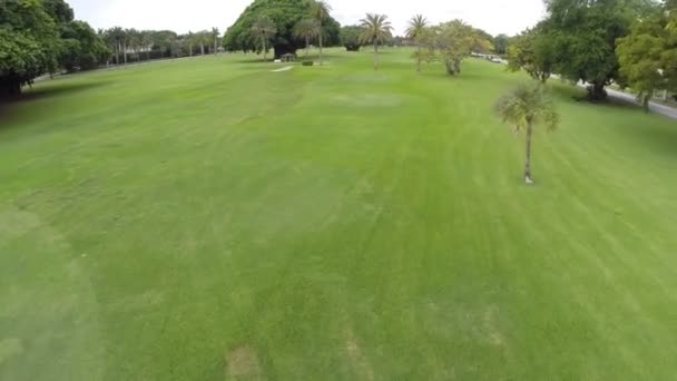 Korallengiebel Golfplatz — Stockvideo