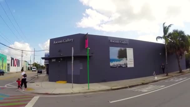 Wynwood arte design dstrict miami florida — Vídeo de Stock