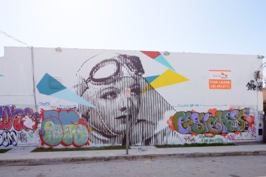 Sanat duvar resimleri, wynwood