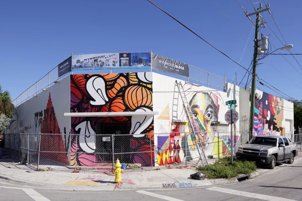 Murais de parede de arte em Wynwood — Fotografia de Stock