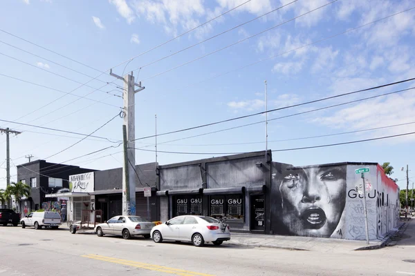 Art wall murals at Wynwood — Stock Photo, Image