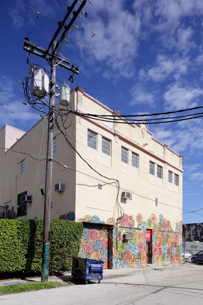 Murales murales de arte en Wynwood — Foto de Stock