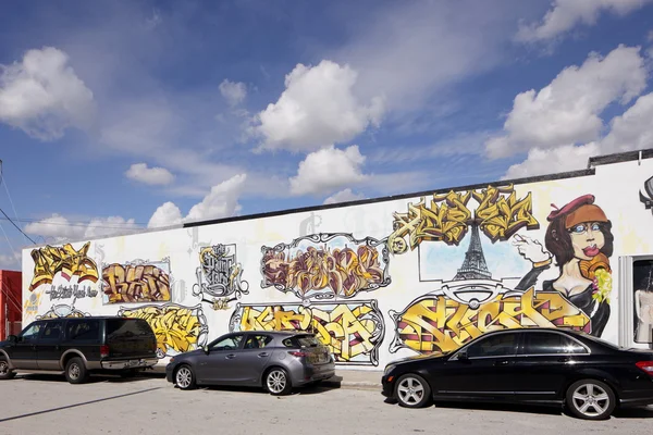 Kunst Wandgemälde bei wynwood — Stockfoto