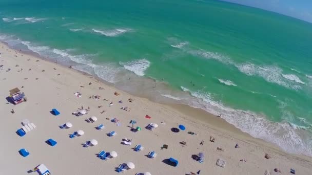 Luchtfoto beeldmateriaal van miami beach — Stockvideo