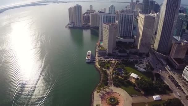 Downtown Miami and Bicentennial Park — Stock Video