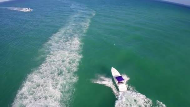 Båtfolk som njuter av det varma året runt miami vädret — Stockvideo