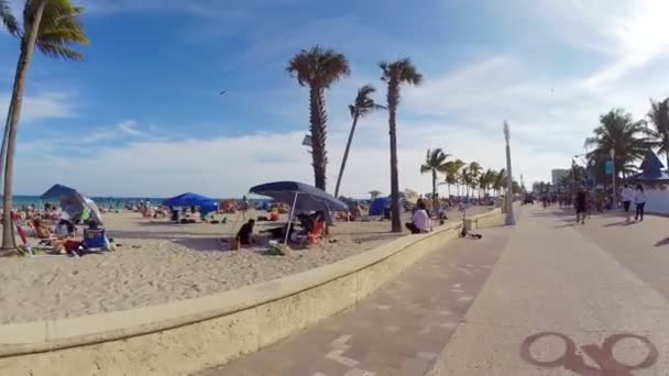 할리우드에서 사람들이 플로리다 비치 — 비디오