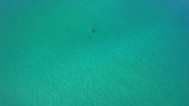 Tache sombre dans l'océan 