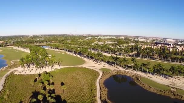 Campo da golf — Video Stock