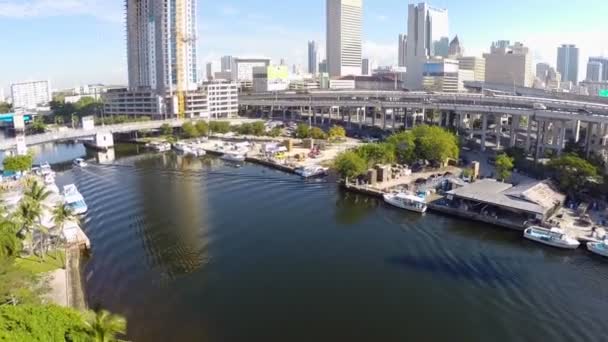 Miami nehir ve downtown miami — Stok video