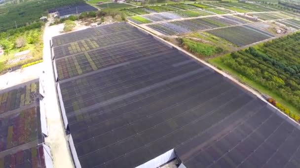 Homestead farmland aerial video — Stock Video