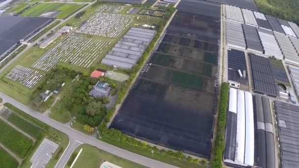 Homestead terras agrícolas vídeo aéreo — Vídeo de Stock