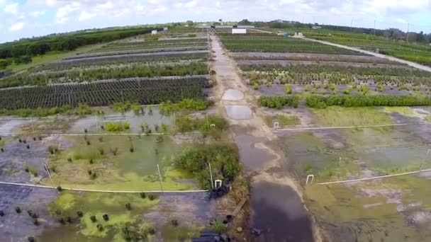Homestead landbouwgrond luchtfoto video — Stockvideo
