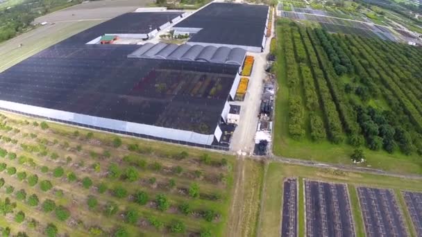 Farm aerial video — Stock Video