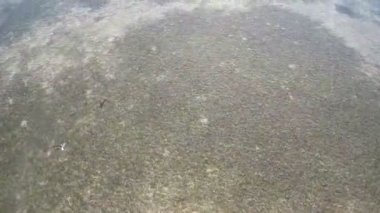 florida keys havadan görüntüleri