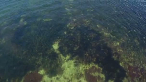 Aerial Florida Keys reefs — Stock Video