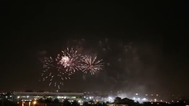 Fuochi d'artificio in Timelapse — Video Stock