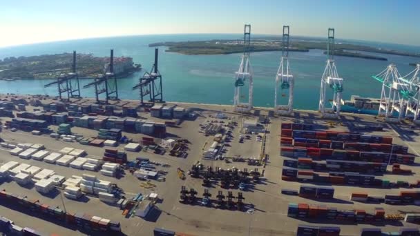 Aerial leverage of the Port of Miami Florida — Stock Video