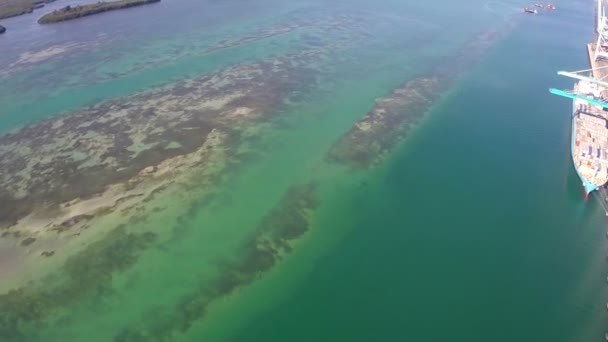 Воздушный рычаг Порта Майами Флорида — стоковое видео