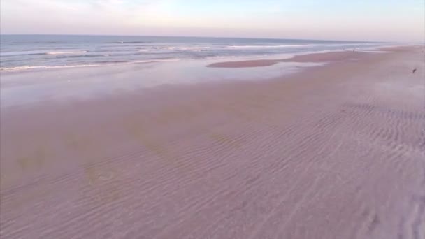 Luchtfoto st augustine beach florida — Stockvideo