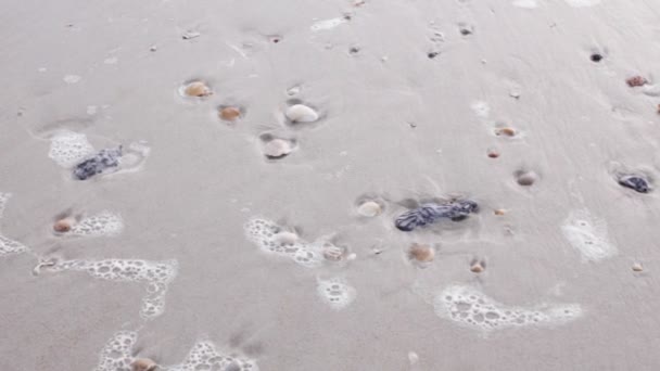 Arenas de la playa de San Agustín — Vídeos de Stock