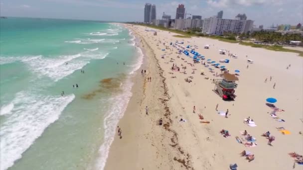 Повітряна Майамі пляж — стокове відео
