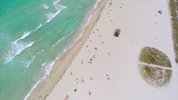 Aerial Beach Miami — Stock Video