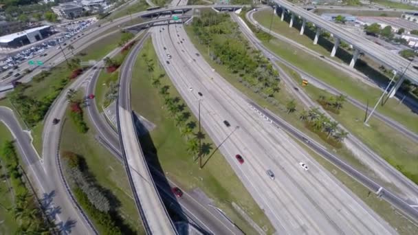 Goldene Lichtungen tauschen sich in Miami aus — Stockvideo