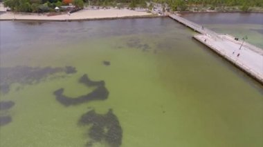 Havadan video florida keys AIDS memorial